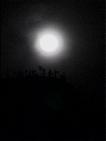 Vollmond